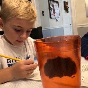 Meet your Posher, Steve